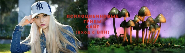 прущие грибы Абдулино