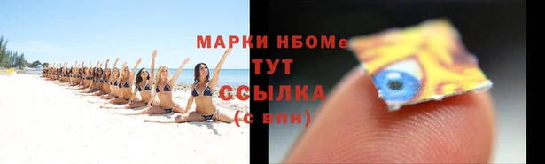 прущие грибы Абдулино