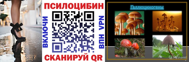 Псилоцибиновые грибы мухоморы  цена наркотик  Темников 